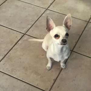 Meet your Posher, Mike